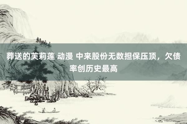 葬送的芙莉莲 动漫 中来股份无数担保压顶，欠债率创历史最高