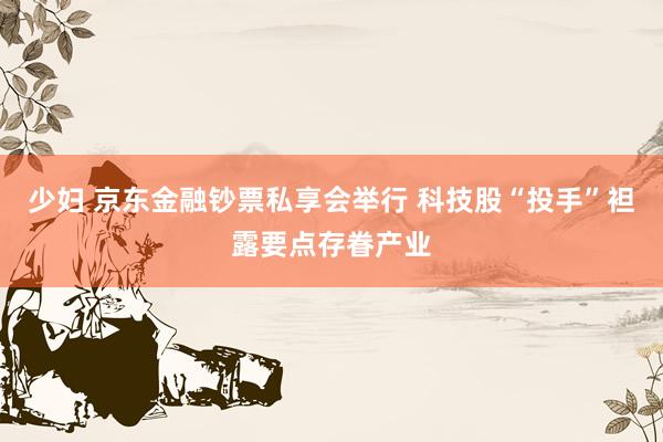 少妇 京东金融钞票私享会举行 科技股“投手”袒露要点存眷产业