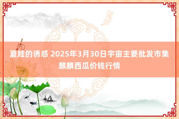 夏娃的诱惑 2025年3月30日宇宙主要批发市集麒麟西瓜价钱行情