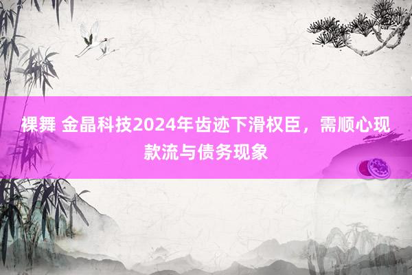 裸舞 金晶科技2024年齿迹下滑权臣，需顺心现款流与债务现象