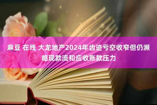 麻豆 在线 大龙地产2024年齿迹亏空收窄但仍濒临现款流和应收账款压力