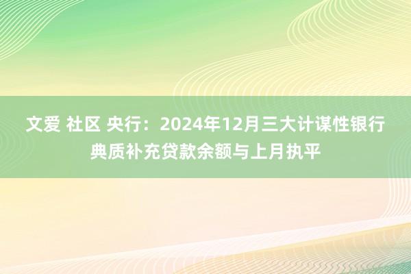 文爱 社区 央行：2024年12月三大计谋性银行典质补充贷款余额与上月执平