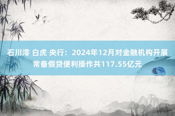 石川澪 白虎 央行：2024年12月对金融机构开展常备假贷便利操作共117.55亿元