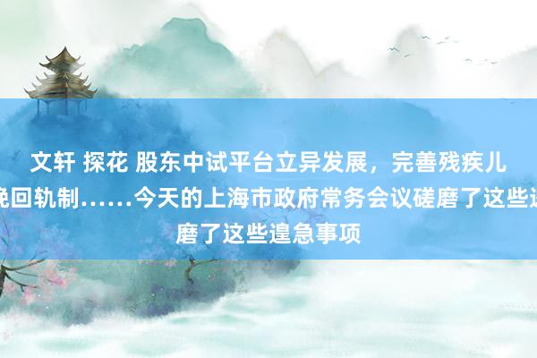 文轩 探花 股东中试平台立异发展，完善残疾儿童康复挽回轨制……今天的上海市政府常务会议磋磨了这些遑急事项