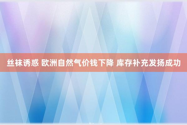 丝袜诱惑 欧洲自然气价钱下降 库存补充发扬成功