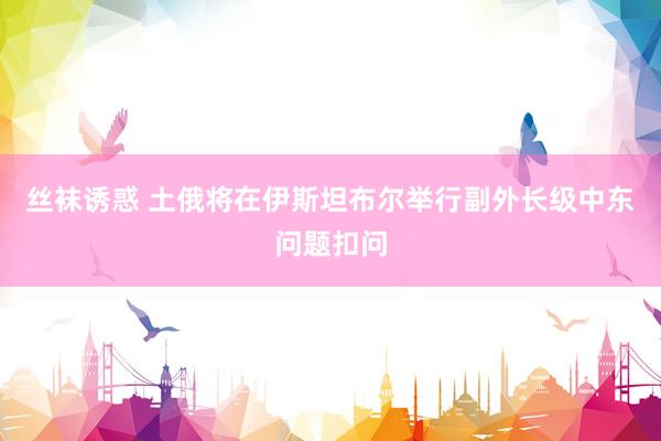 丝袜诱惑 土俄将在伊斯坦布尔举行副外长级中东问题扣问